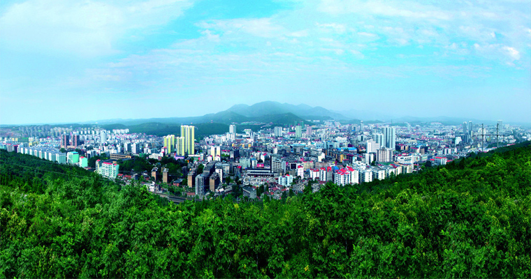 随州网站建设