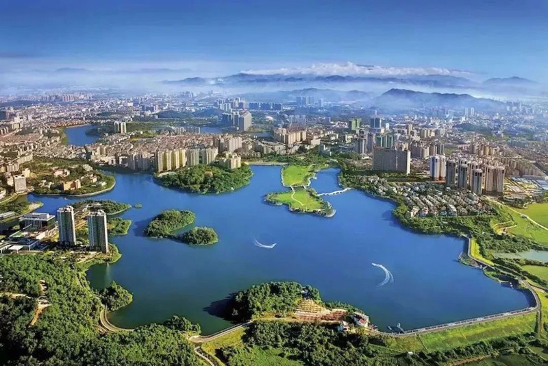 阳江软件开发：推动城市信息化进程的新引擎