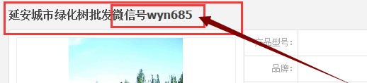 网站建设中产品发布时标题的操作规范及正确写法5.png